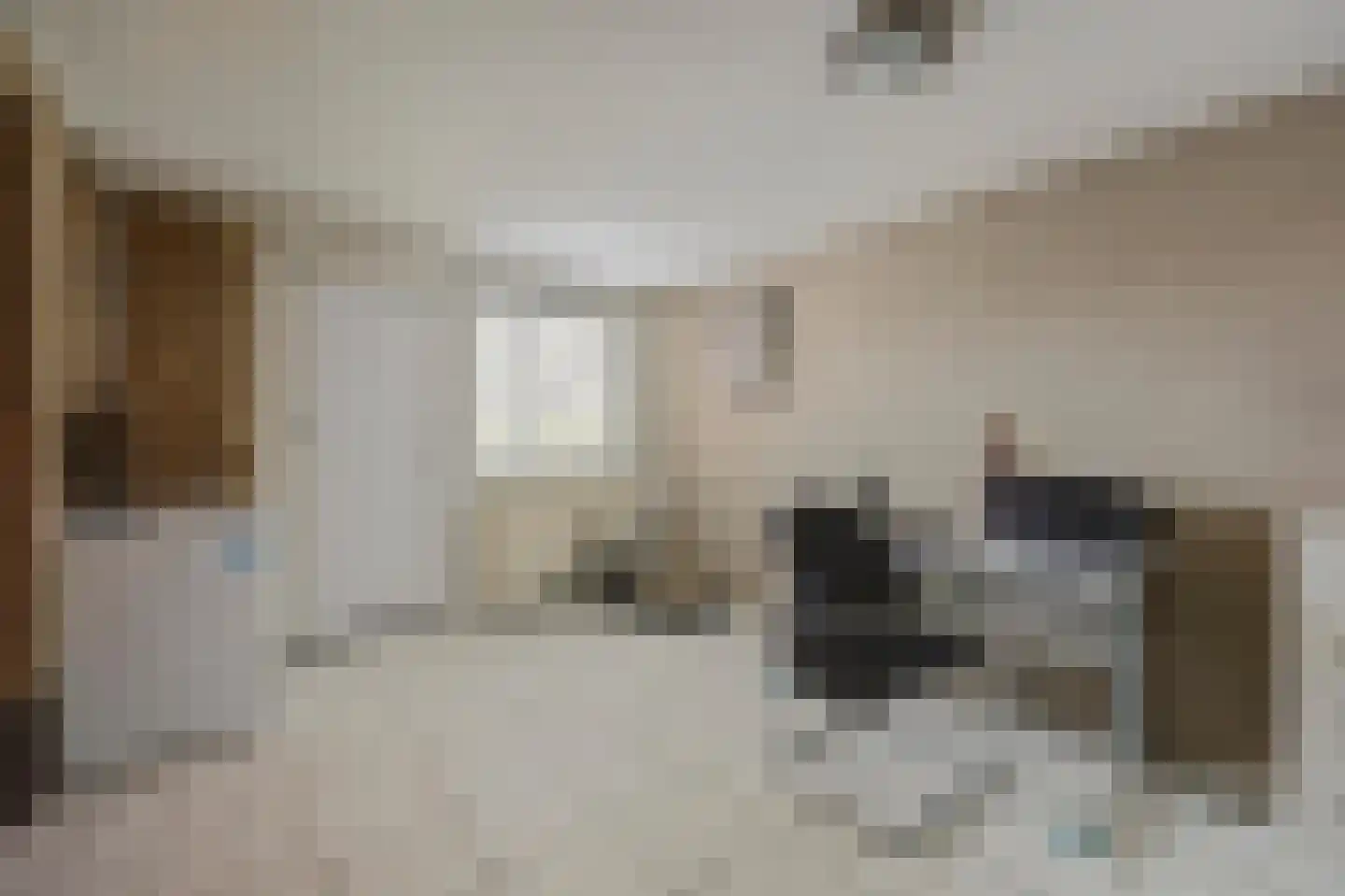 Brittanjesingel 45 Zetten thumbnail 21