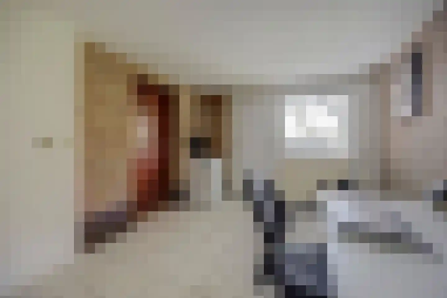 Brittanjesingel 45 Zetten thumbnail 21