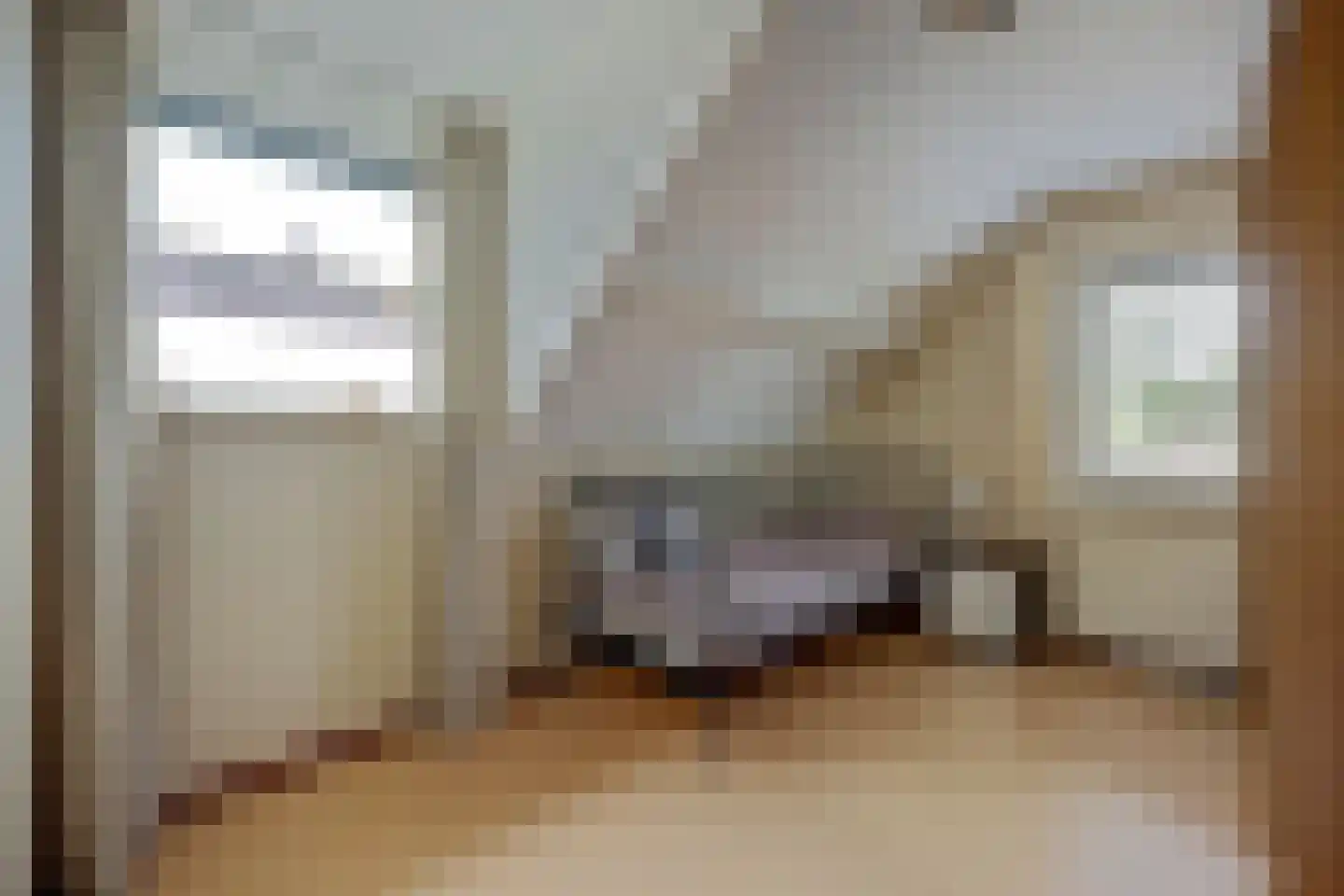 Brittanjesingel 45 Zetten thumbnail 28