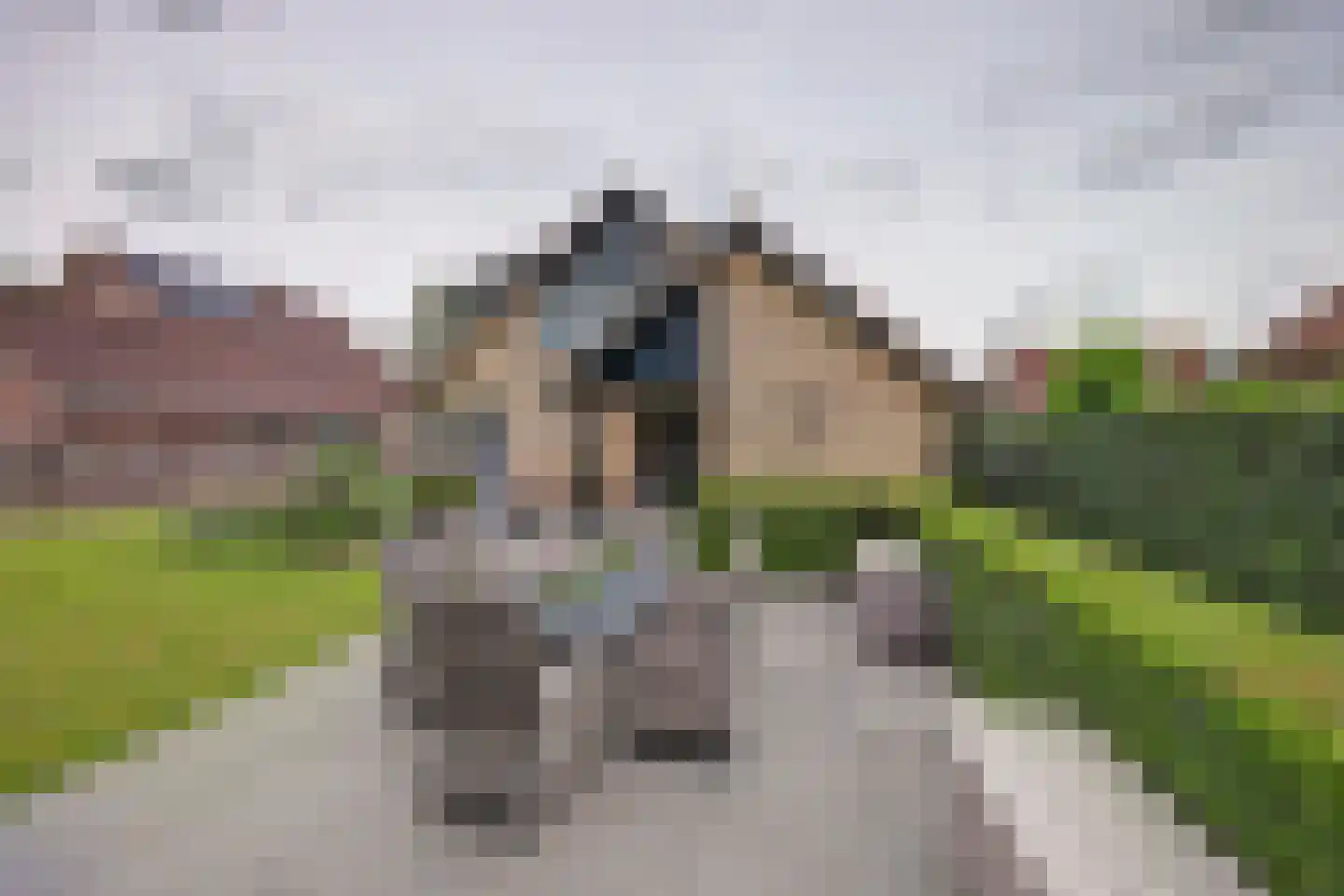Brittanjesingel 45 Zetten thumbnail 40