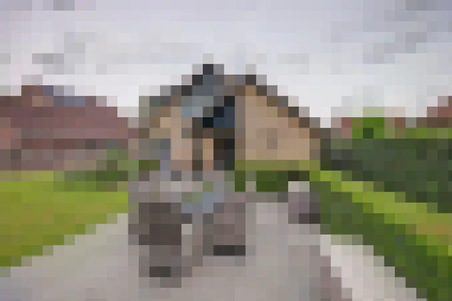 Brittanjesingel 45 Zetten thumbnail 41