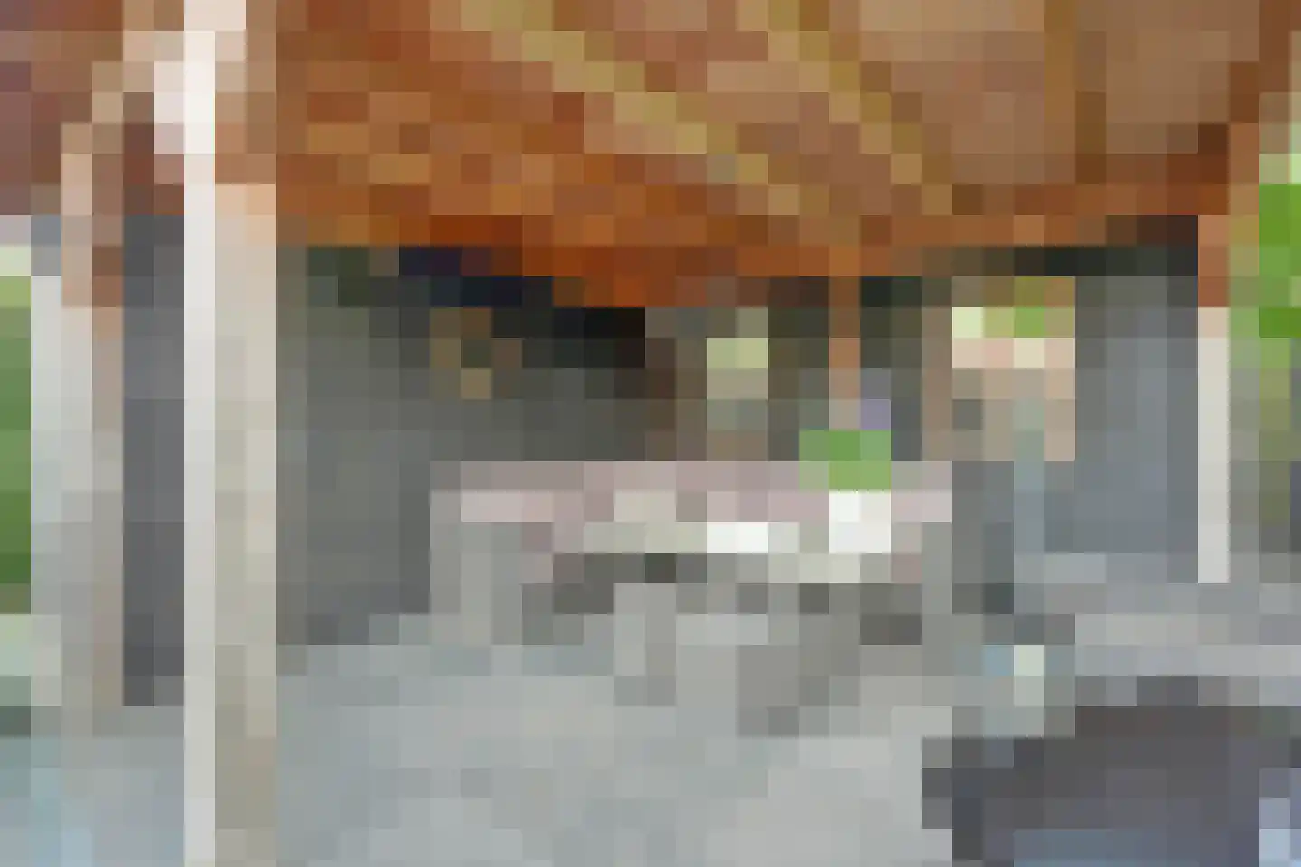 Brittanjesingel 45 Zetten thumbnail 43