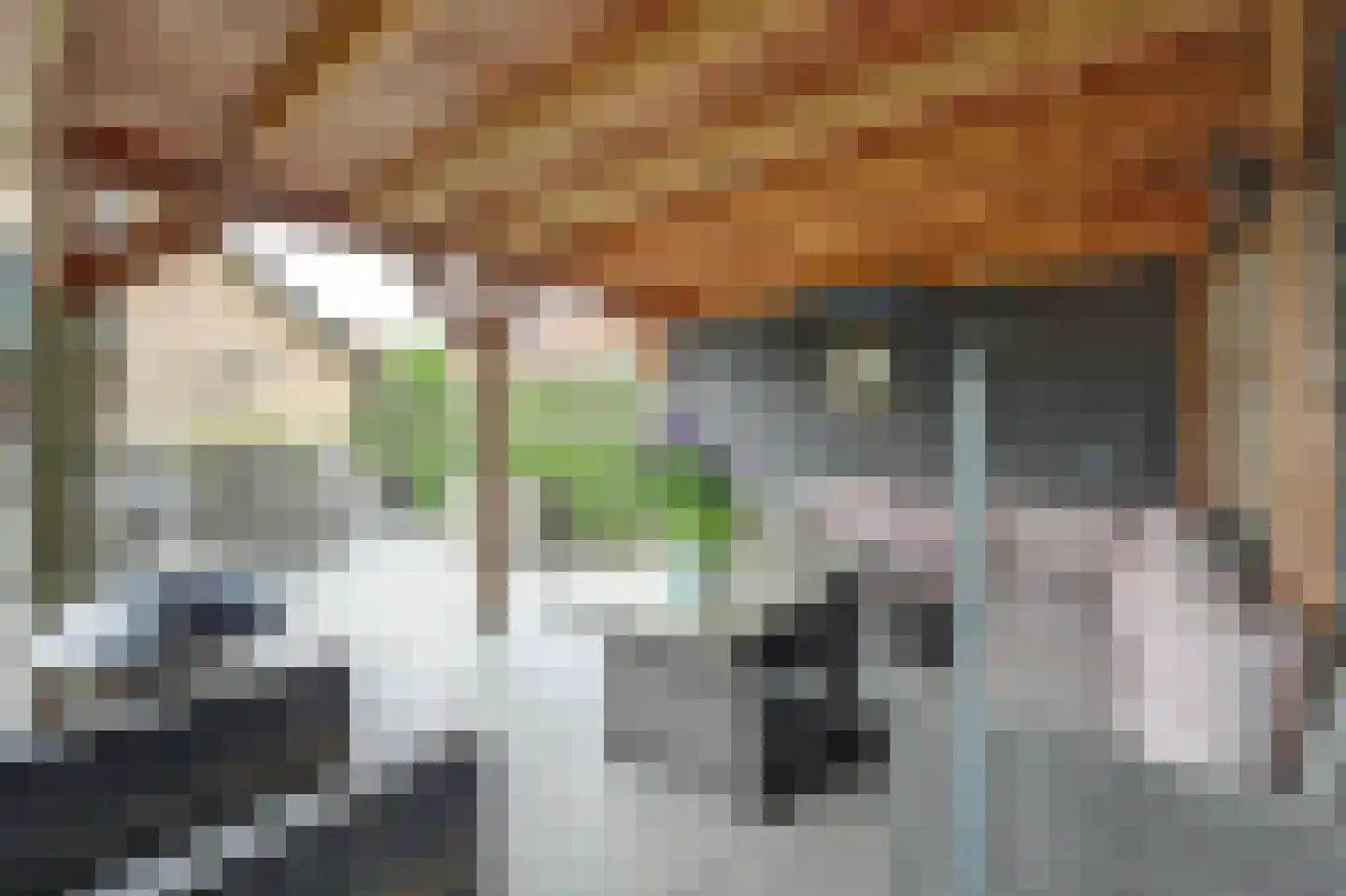 Brittanjesingel 45 Zetten thumbnail 44