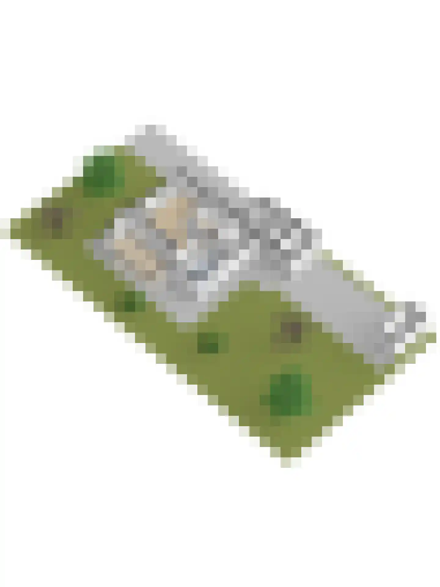 Brittanjesingel 45 Zetten thumbnail 53