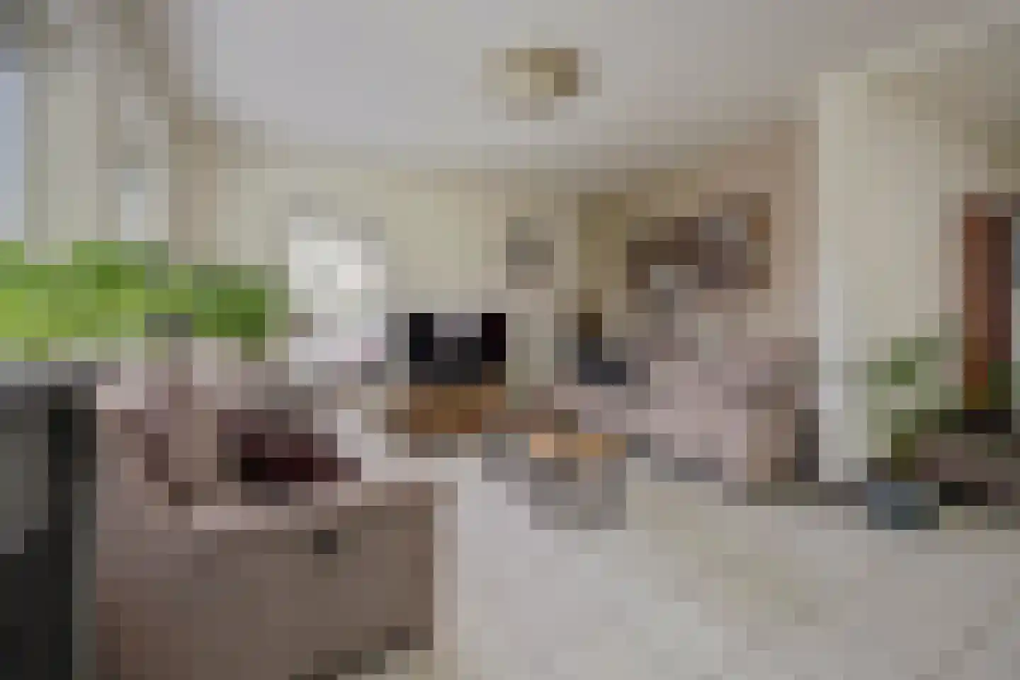 Brittanjesingel 45 Zetten thumbnail 8