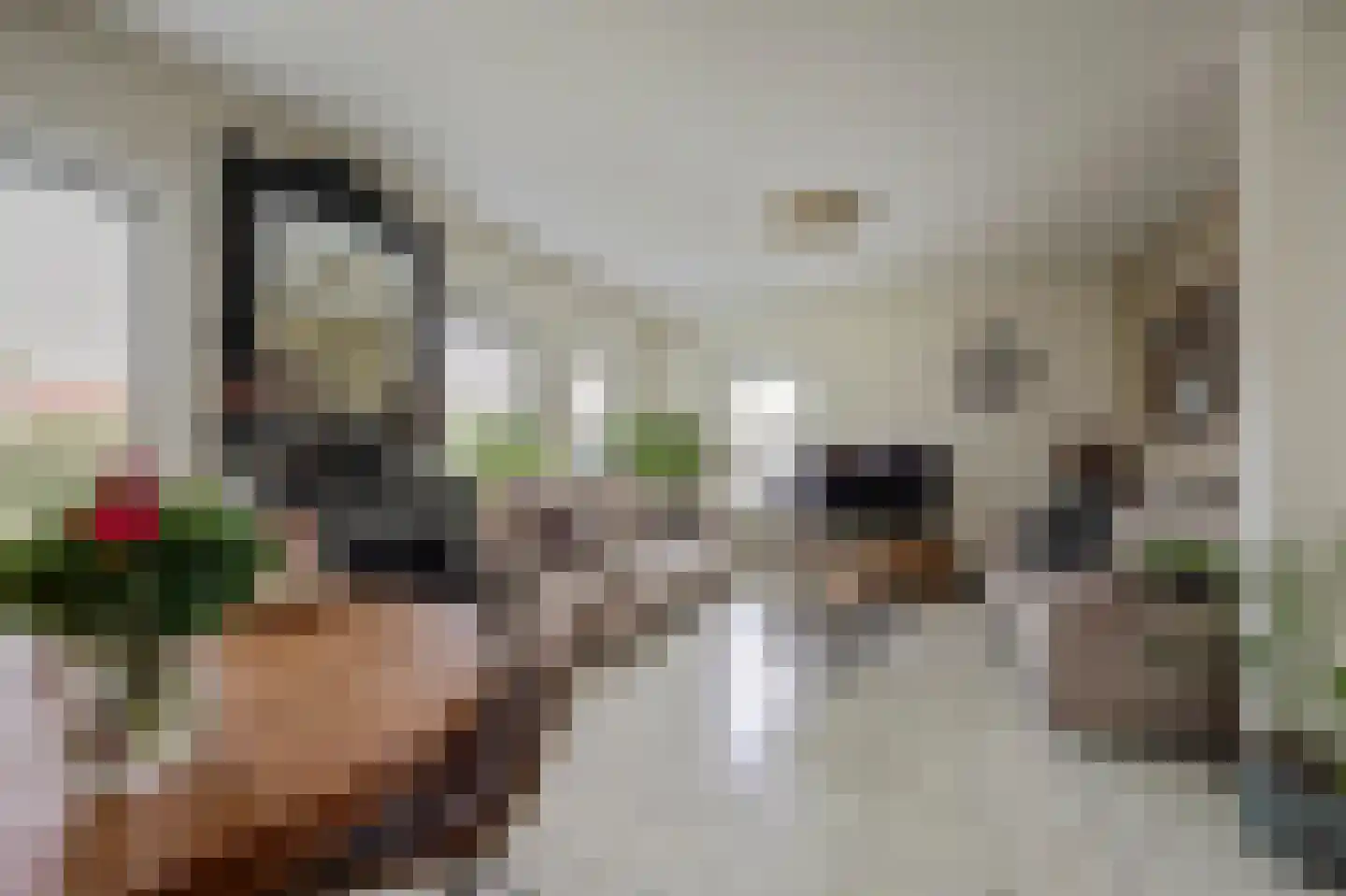 Brittanjesingel 45 Zetten thumbnail 9