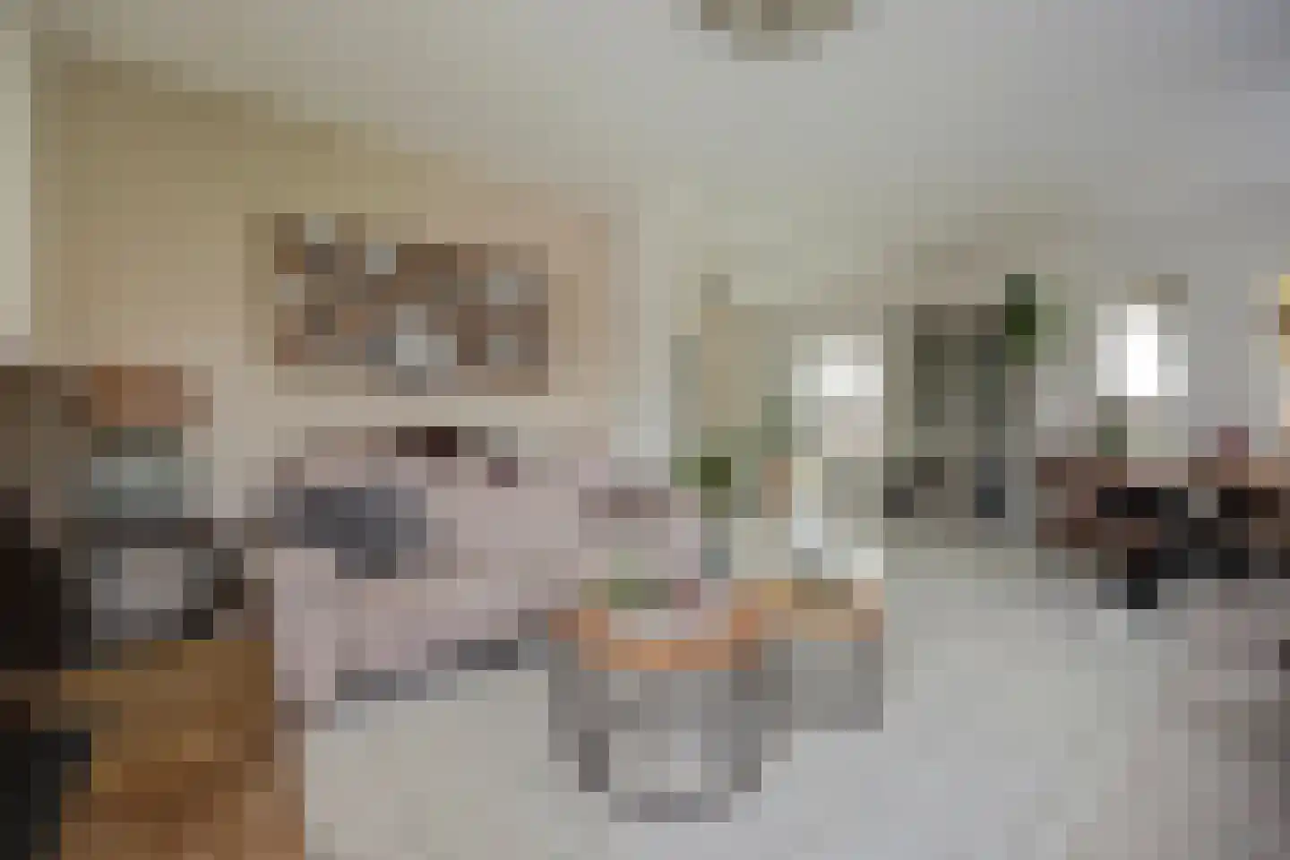 Brittanjesingel 45 Zetten thumbnail 9