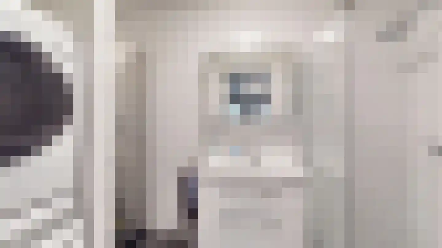 Brittanniëlaan 15 Geleen thumbnail 14