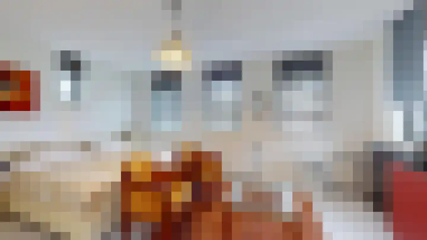 Brittanniëlaan 15 Geleen thumbnail 16