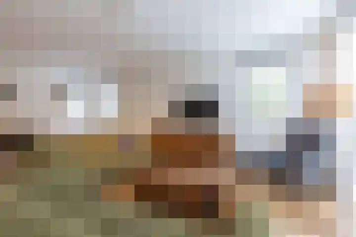 Brittanniëlaan 19 Geleen thumbnail 16