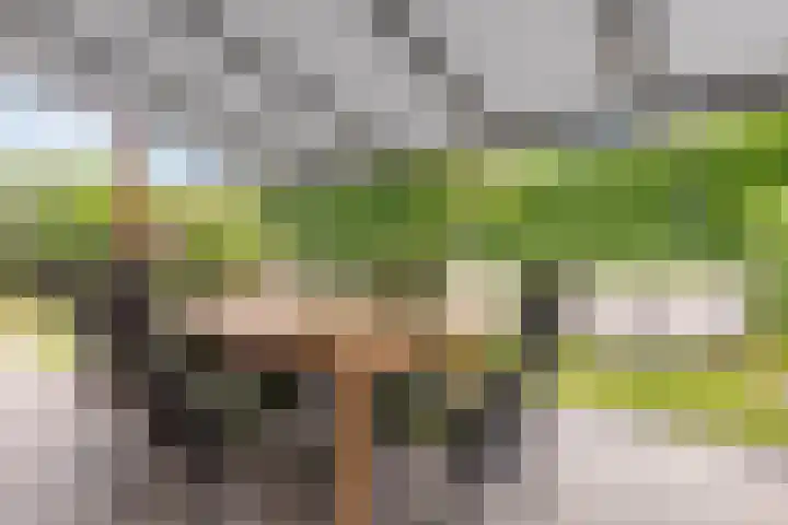 Brittanniëlaan 19 Geleen thumbnail 27