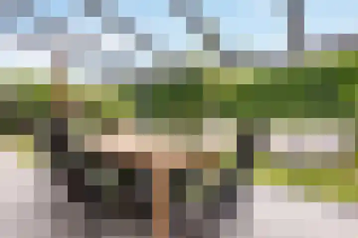 Brittanniëlaan 19 Geleen thumbnail 28