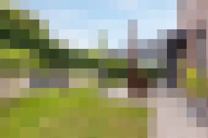 Brittanniëlaan 19 Geleen thumbnail 30