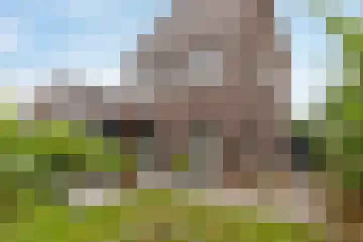Brittanniëlaan 19 Geleen thumbnail 32