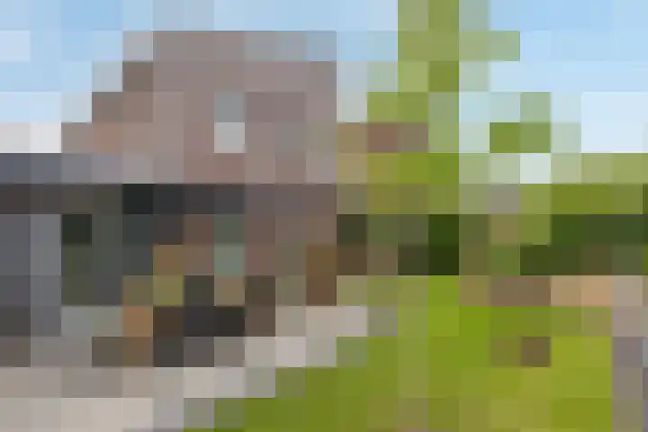 Brittanniëlaan 19 Geleen thumbnail 33
