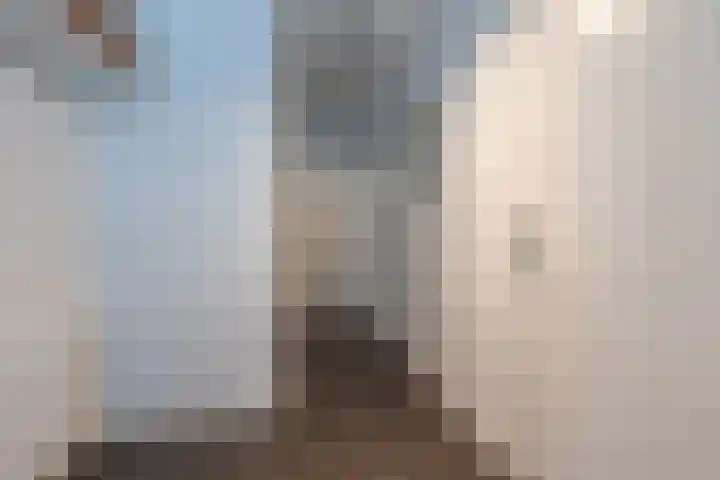 Brittanniëlaan 19 Geleen thumbnail 8