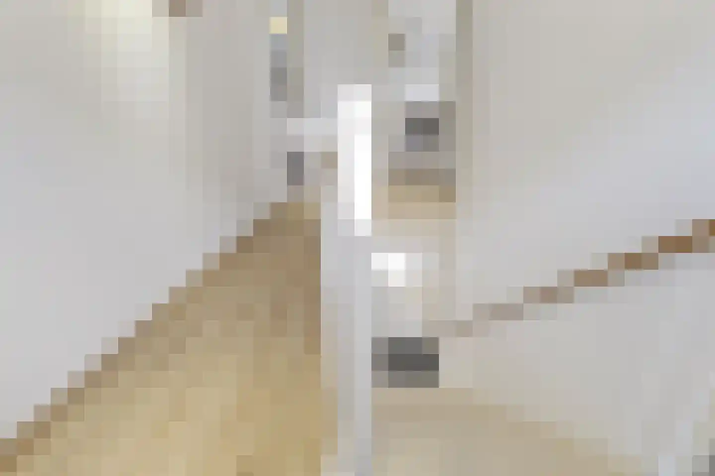 Brittanniëlaan 41 Geleen thumbnail 30