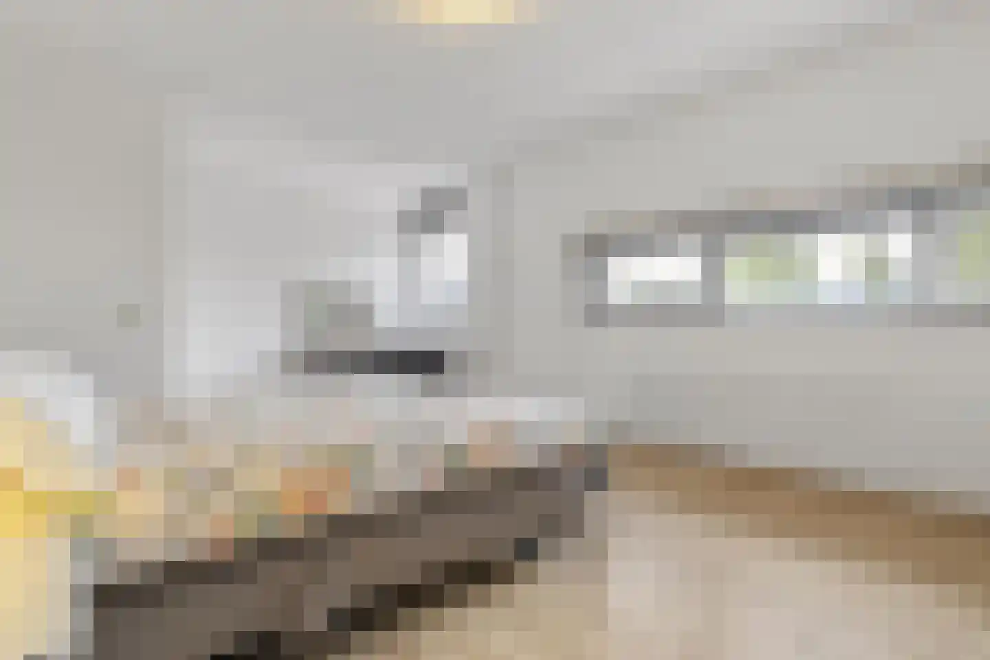 Brittanniëlaan 41 Geleen thumbnail 36
