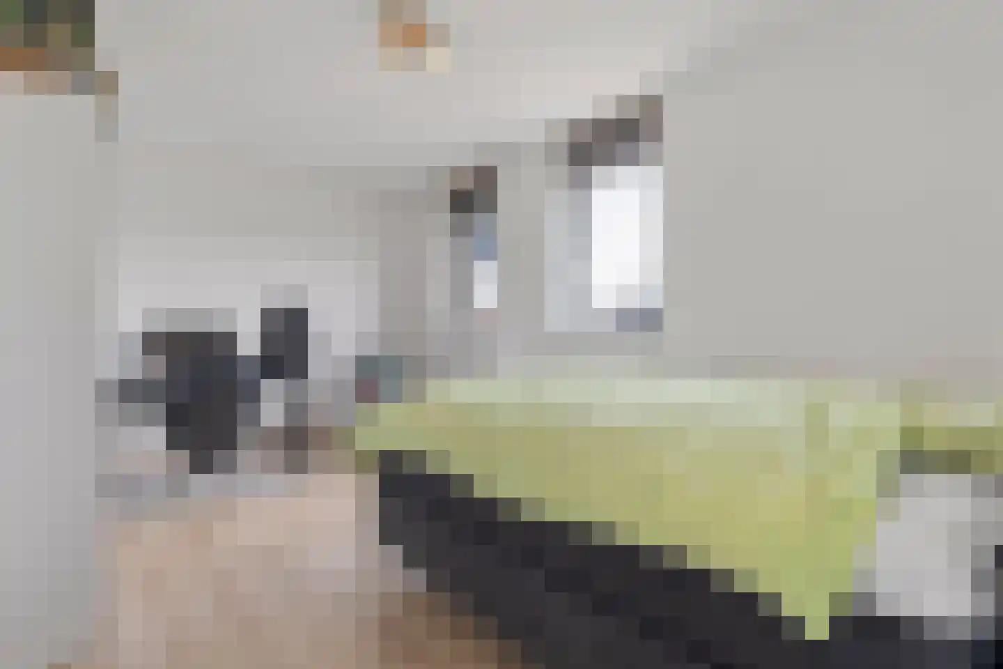 Brittanniëlaan 41 Geleen thumbnail 37