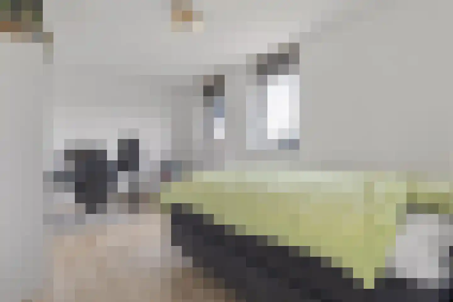 Brittanniëlaan 41 Geleen thumbnail 37