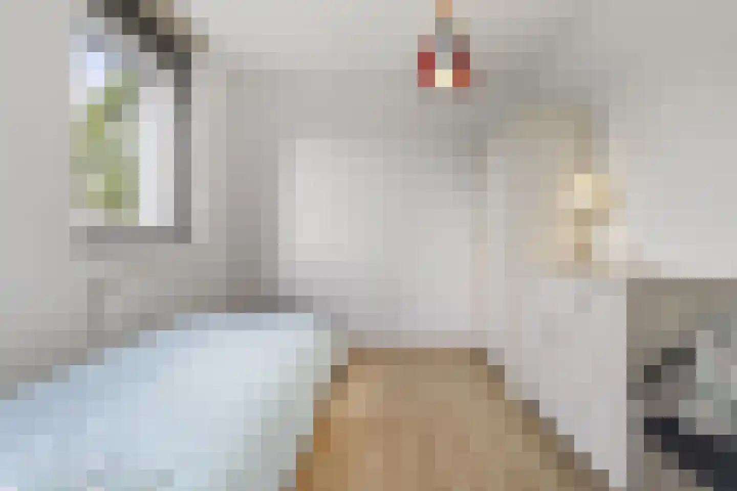Brittanniëlaan 41 Geleen thumbnail 41