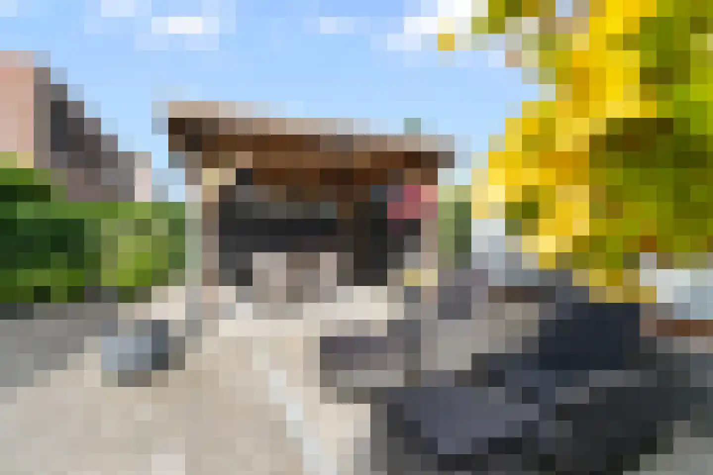 Brittanniëlaan 45 Geleen thumbnail 26