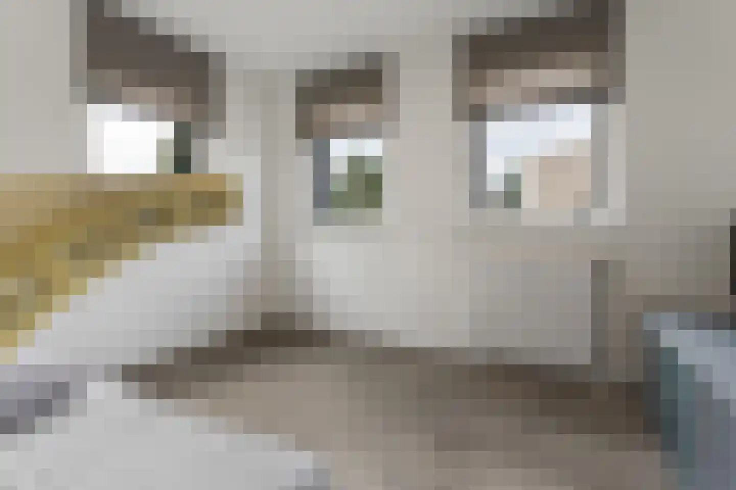 Brittanniëlaan 45 Geleen thumbnail 33