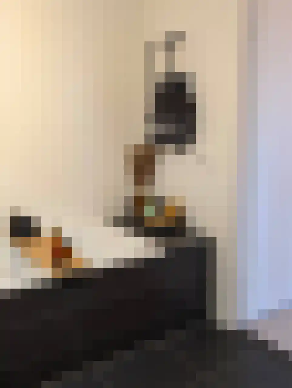 Brittanniëlaan 69 Geleen thumbnail 18