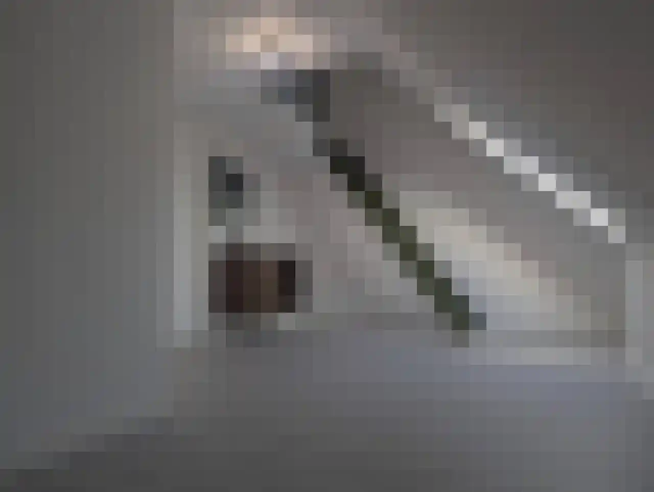 Brittanniëlaan 69 Geleen thumbnail 22