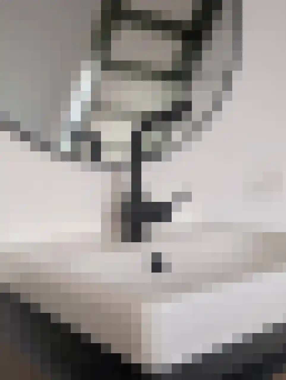Brittanniëlaan 69 Geleen thumbnail 23