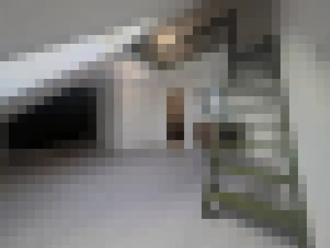 Brittanniëlaan 69 Geleen thumbnail 24