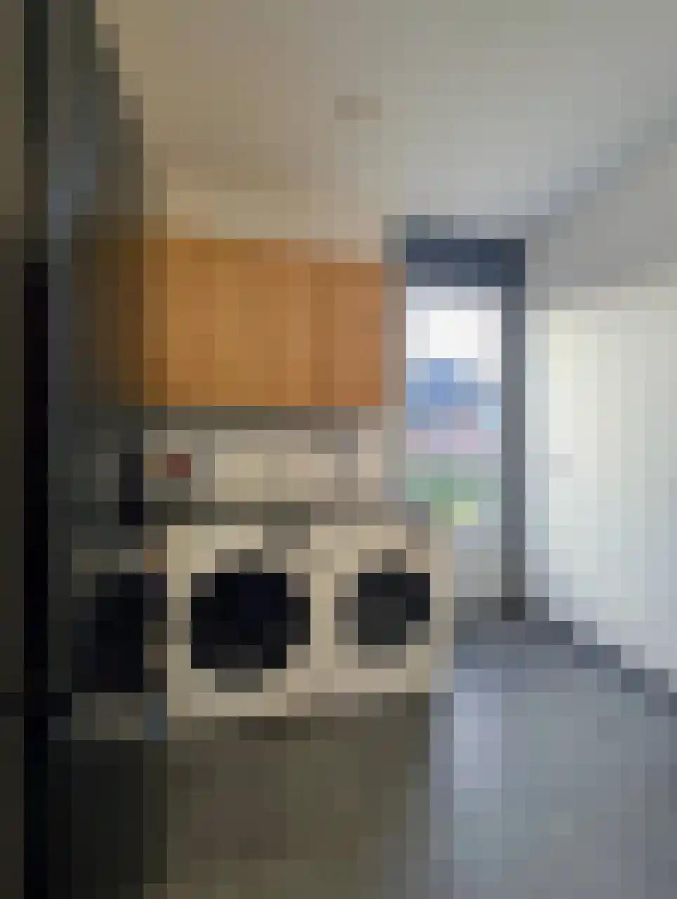 Brittanniëlaan 69 Geleen thumbnail 26