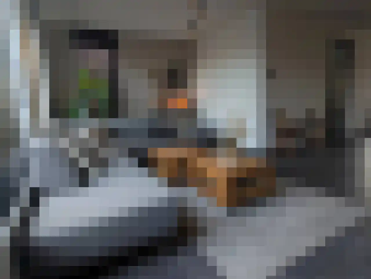 Brittanniëlaan 69 Geleen thumbnail 5