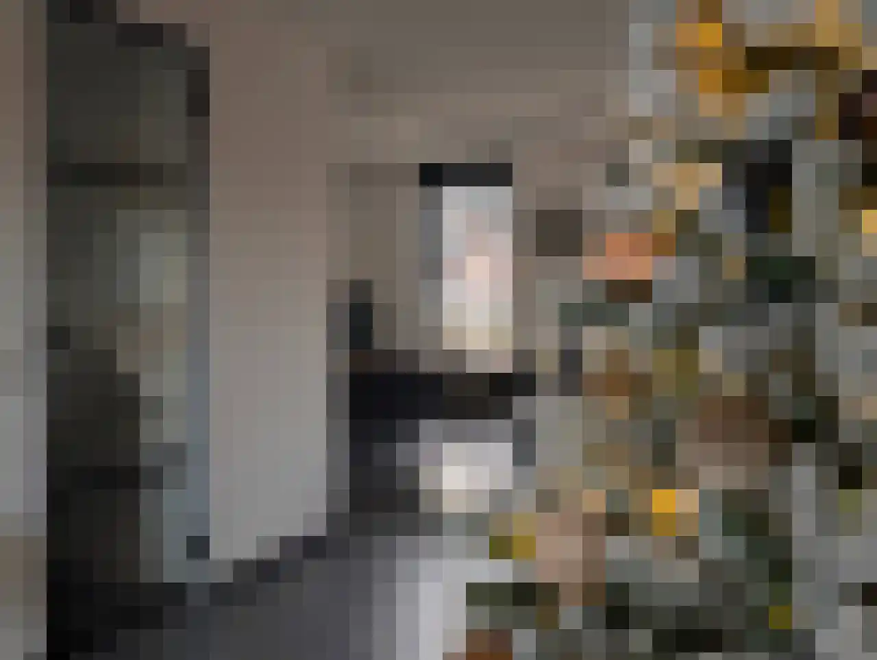 Brittanniëlaan 69 Geleen thumbnail 6