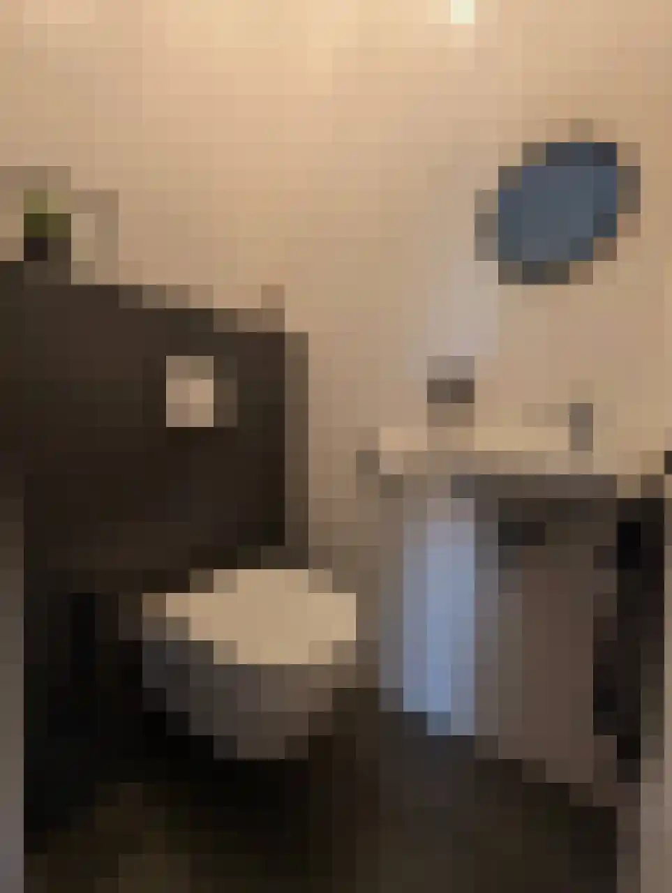 Brittanniëlaan 69 Geleen thumbnail 9