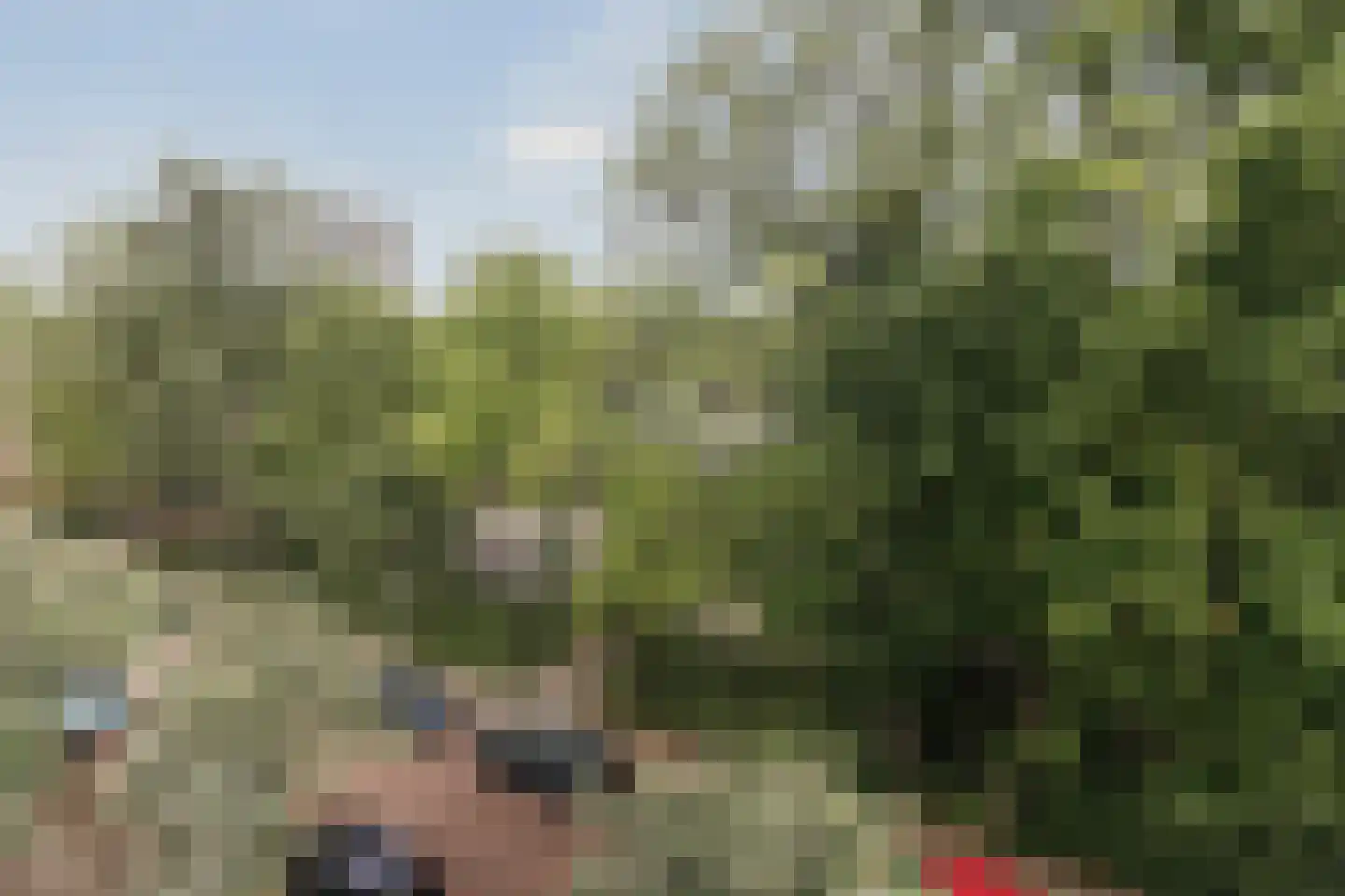 Brittenburg 19 Amsterdam thumbnail 26