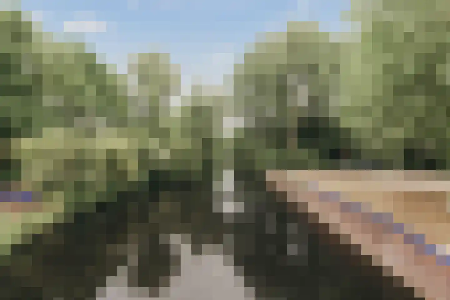 Brittenburg 19 Amsterdam thumbnail 31