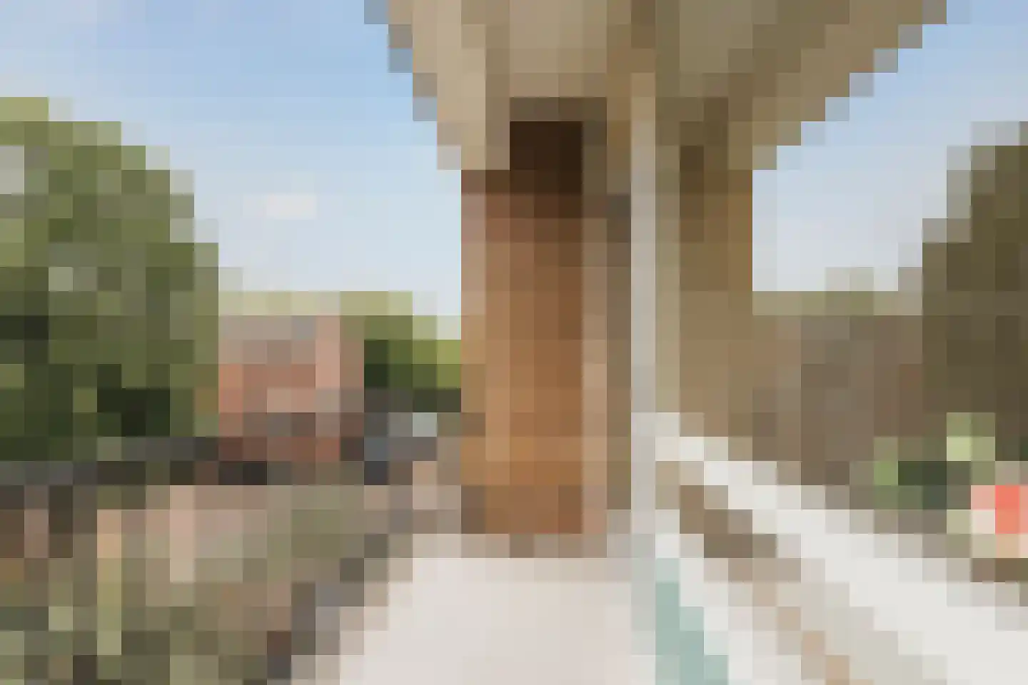 Brittenburg 19 Amsterdam thumbnail 4