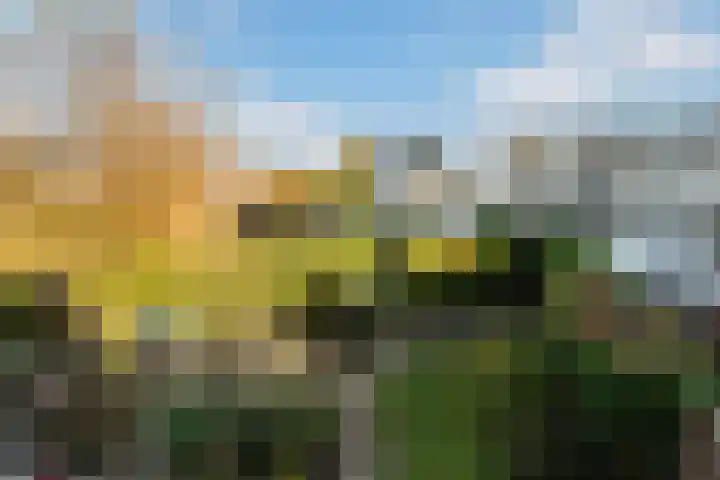 Brittenburg 53 Dordrecht thumbnail 25