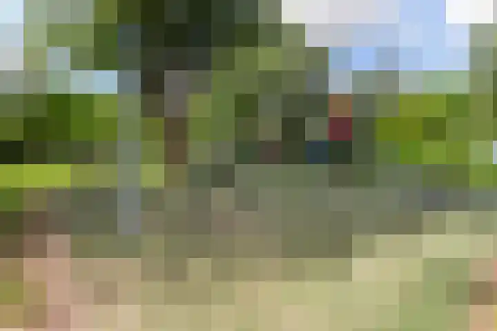 Brittenburg 71 Dordrecht thumbnail 8