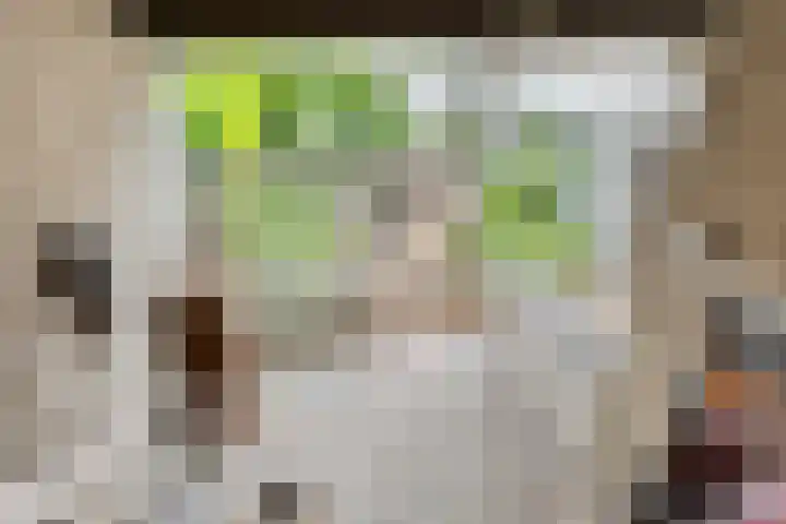 Brittendreef 8 Tilburg thumbnail 16