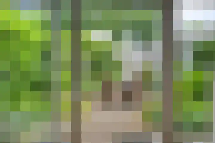 Brittendreef 8 Tilburg thumbnail 27
