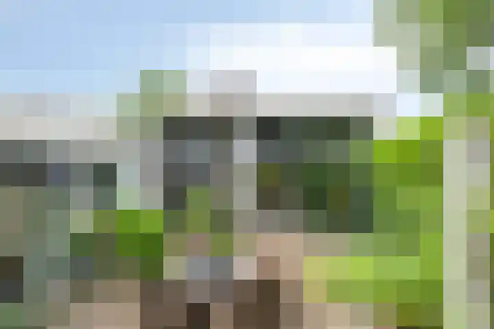 Brittendreef 8 Tilburg thumbnail 30