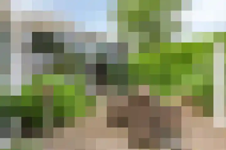 Brittendreef 8 Tilburg thumbnail 31