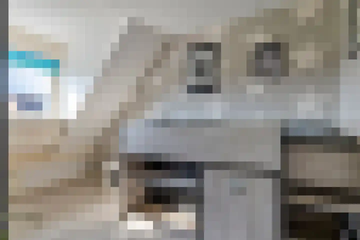 Brittenhuis 54 Noordwijkerhout thumbnail 22