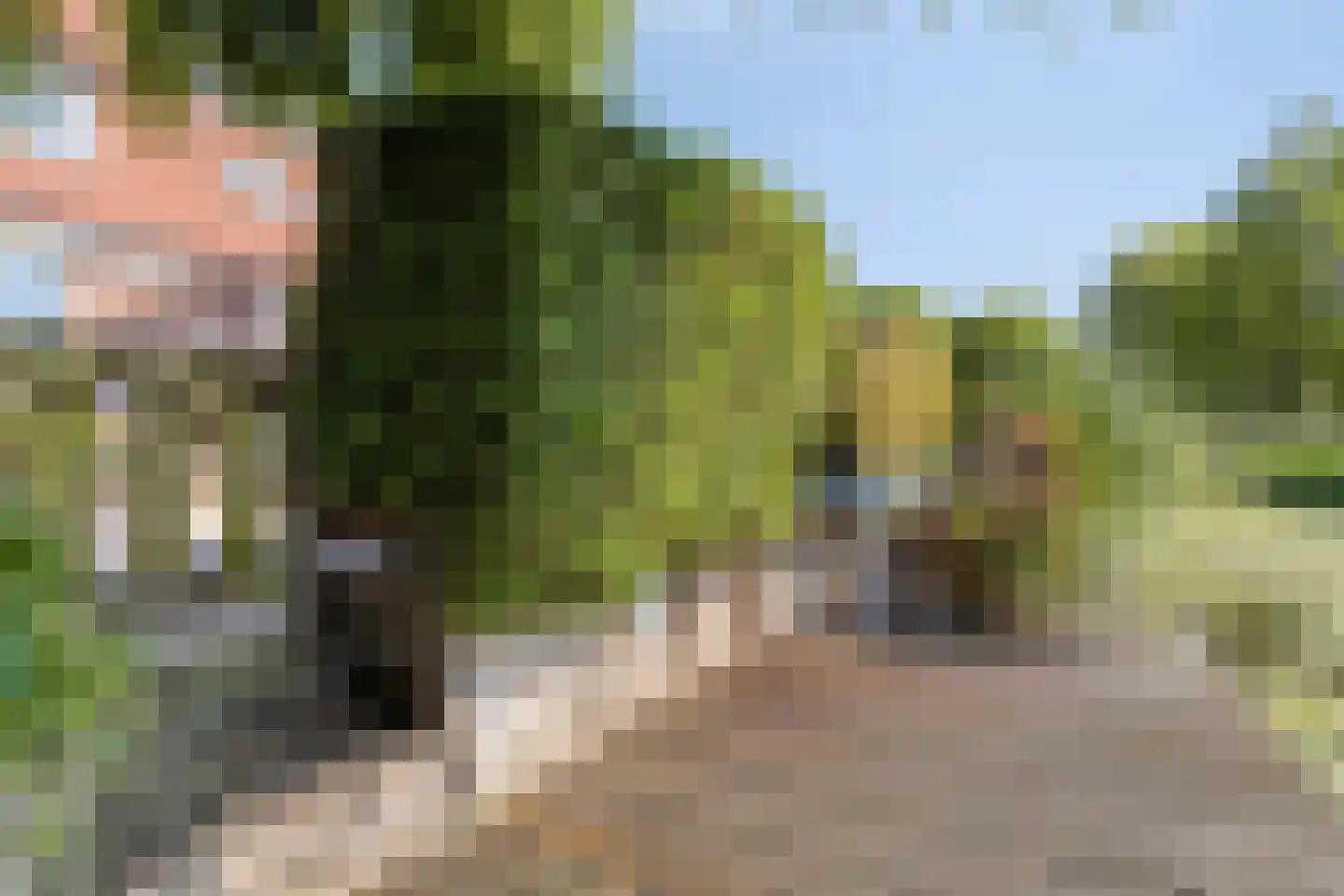 Brittenhuis 54 Noordwijkerhout thumbnail 32
