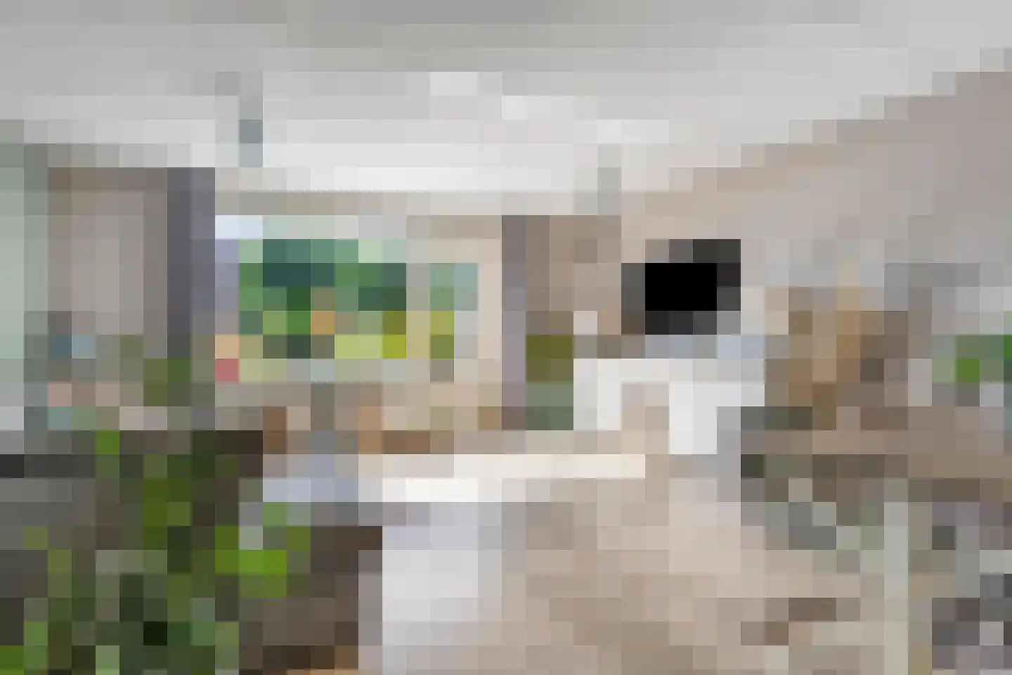 Brittenhuis 54 Noordwijkerhout thumbnail 9
