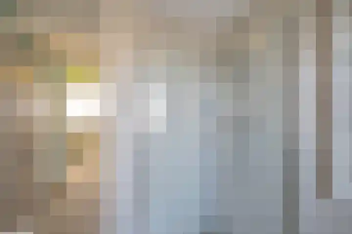 Brittenhuis 64 Noordwijkerhout thumbnail 19
