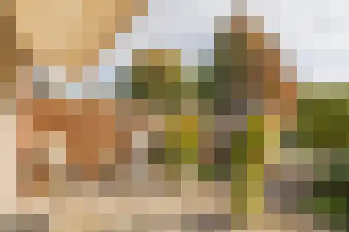 Brittenhuis 64 Noordwijkerhout thumbnail 31