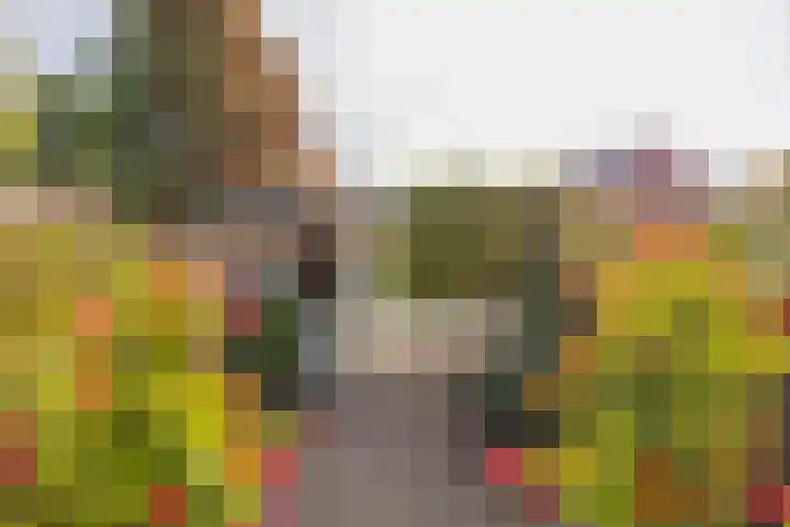 Brittenhuis 64 Noordwijkerhout thumbnail 32